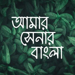 Bangla font hm khalid